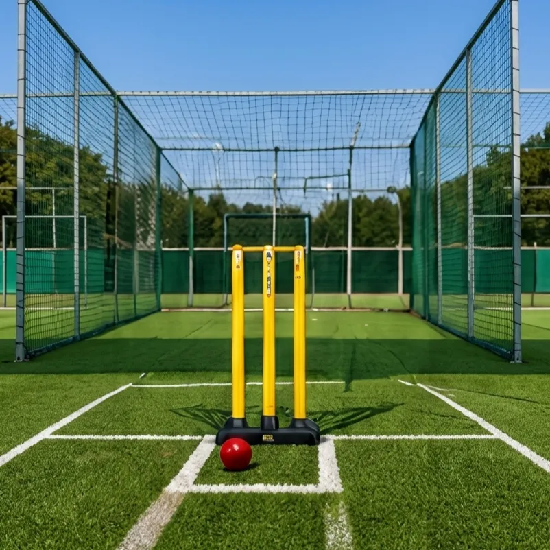 Cricket Academies