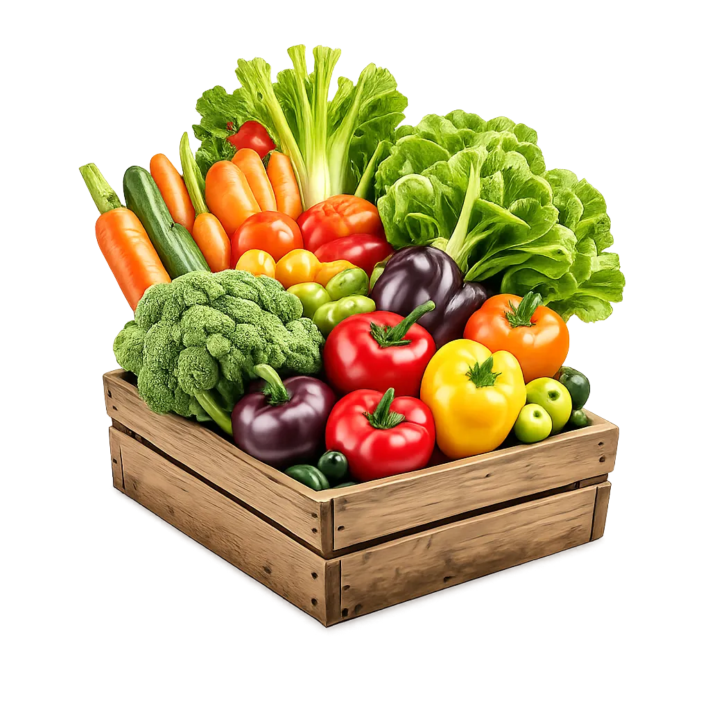 Fruits Vegetables