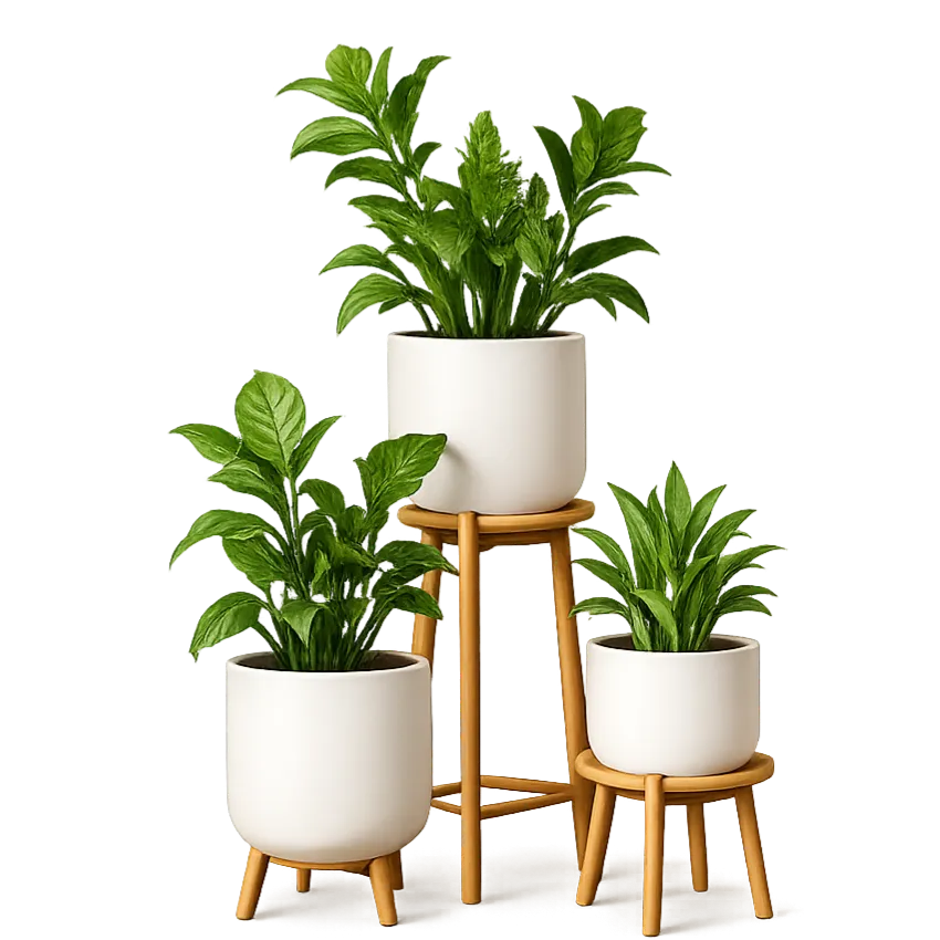 Plants Decors